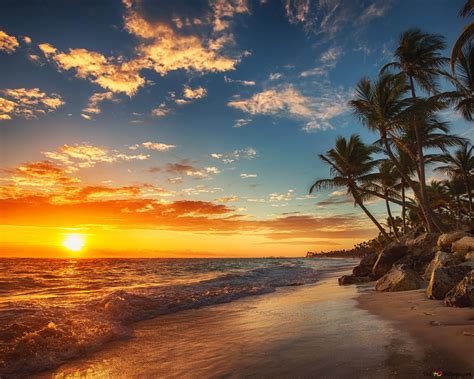 Imagens De Sol E Mar - Pôr do sol tropical e palmeiras na praia do mar HD wallpaper download