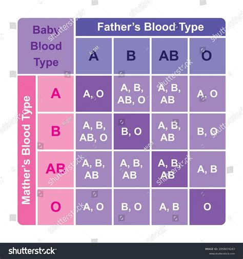 Child Baby Blood Type Table Childs Stock Vector (Royalty Free ...