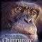 Chimpanzee Politics Power And Sex Among Apes Amazon Co Uk Frans De Waal Books