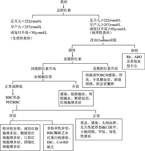 一新生儿黄疸与实验诊断 妇幼保健临床实验诊断学 医学