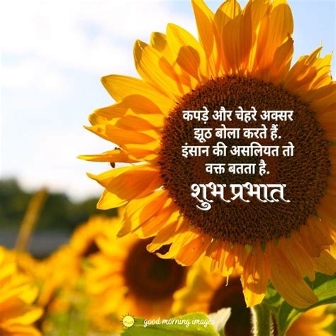 Good Morning Flowers Quotes In Hindi | Best Flower Site