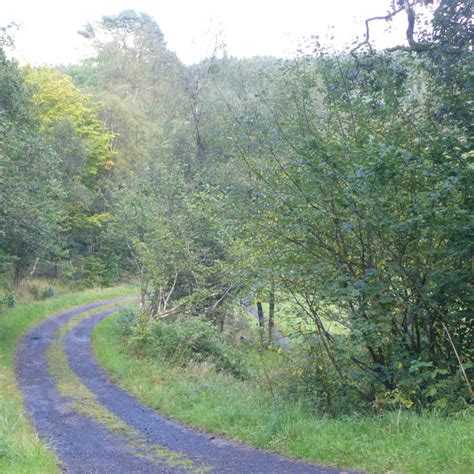 Kielder Forest Drive Kielder Northumberland See Around Britain