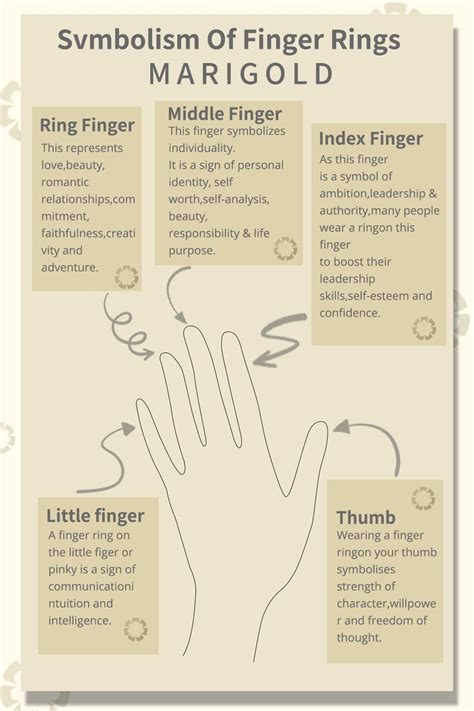 Symbolism Of Finger Rings How To Wear Rings Ring Finger Meaning