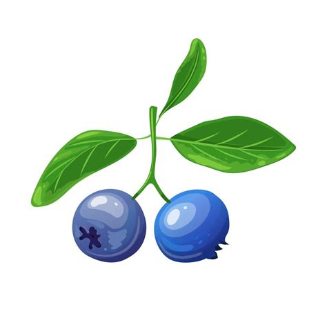 Blueberry Berry Cartoon Vector Illustration Vector Art At Vecteezy