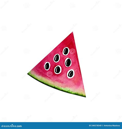 Stylized Watermelon Slice Watercolor Illustration Delicious