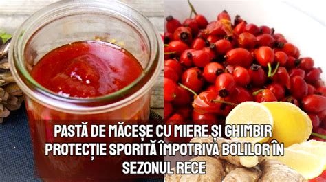 Pasta De Macese Cu Miere Si Ghimbir Protectie Contra Bolilor Lataifas