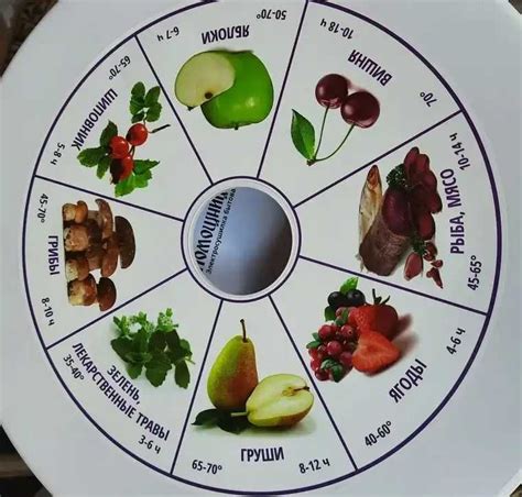 Сушка для овочів та фруктів "Помошница" на 30л с поддоном для пастили ...