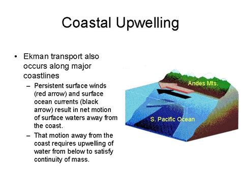 Unlocking The Secrets Of Upwelling What Causes El Nio And La Nia