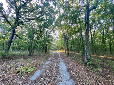 Why the cherokee county ks inmate roster is so long now 32