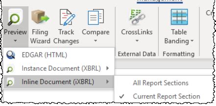 preview inline xbrl