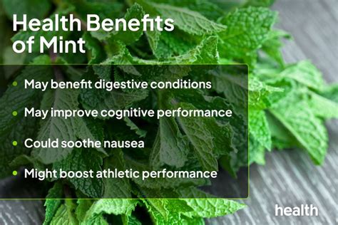 Mint: Benefits, Uses, Side Effects, and More