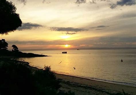 Does Phillip Island Have Beaches? Best Beaches & Tips