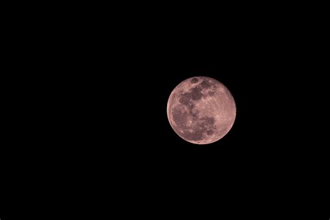 April's Full 'Pink Moon' Will Illuminate The Sky This Month