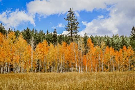 Fall Hiking Spots in Truckee - Discover the Best Trails