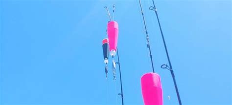 Coastal Corks Fishing Corks Popping Corks Fishing Fishing Corks