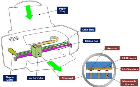 Inkjet Printers And Printer Ink Cartridges How They Work Sprint Ink