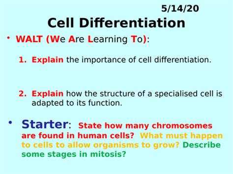 Examples Of Cell Differentiation In Biology