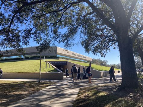 Usf Muma College Of Business First Stem Major Merges Business Ai The Oracle