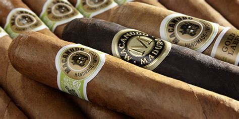 Bikini Barista Serves It Up SCORCHING HOT Whiskey Babes