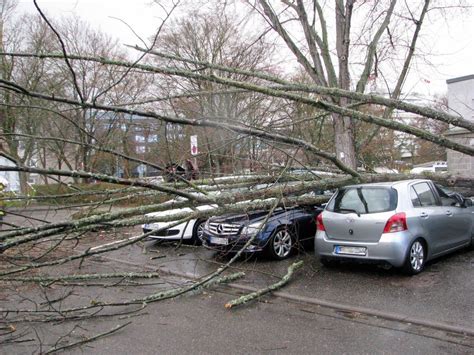 Sturm fegte Dutzende Bäume um Straßen blockiert Autos beschädigt