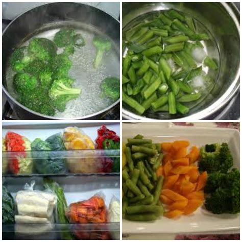 Congelar Legumes Crus - Como congelar legumes? - Garotas Modernas
