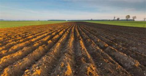 Agricoltura Cambiamenti Climatici E Uso Del Suolo Da Fondazione