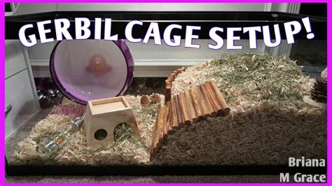 Setting Up My Gerbil Cage Briana M Grace Youtube