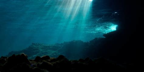 Scientists discover mysterious new predator living deep in the ocean ...