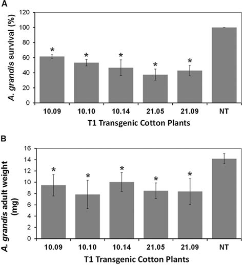 Frontiers Transgenic Cotton Plants Expressing Cry1Ia12 Toxin Confer