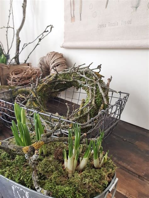 Fr Hlingsdeko Selbermachen Basteln Mit Narzissen Krokusse Bridal Crown