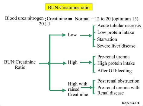 Blood Urea Nitrogen Creatinine Ratio Bun Creatinine Ratio Labpedia Net