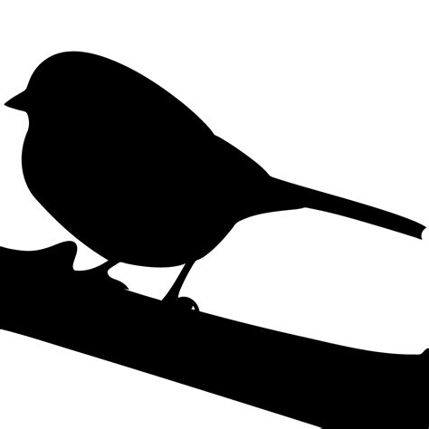 Game Birds Browse By Shape All About Birds Cornell Lab Of Ornithology