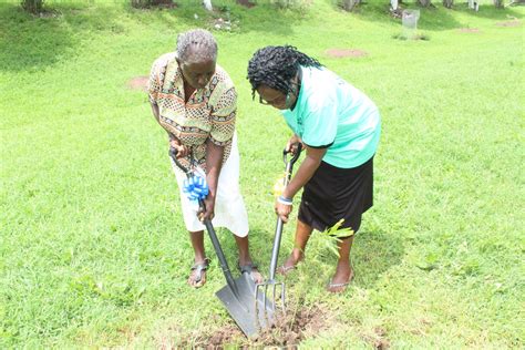 The Ministry Of Labour And Social Security Jamaica