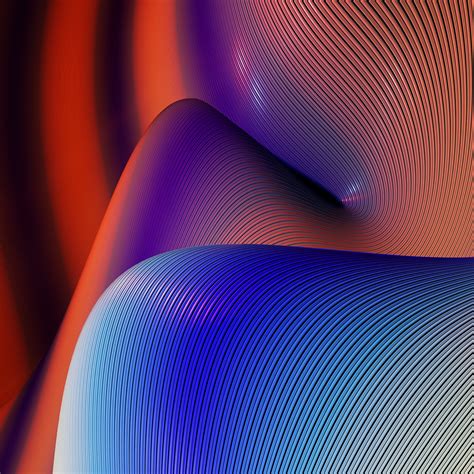 colorful  lines  behance