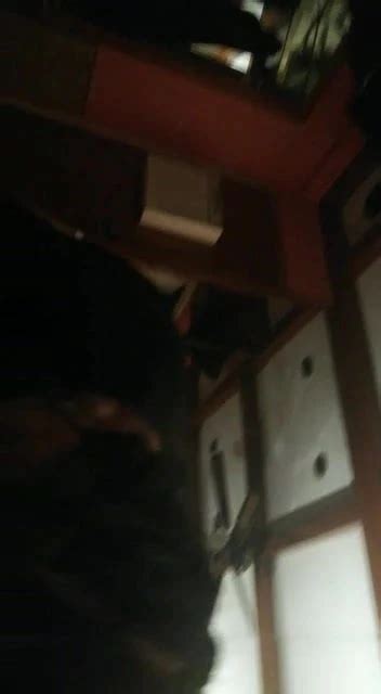 Mamada De La Chechu Free Porn Video 90 XHamster