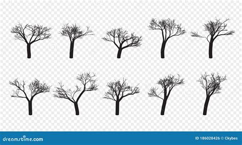 Naked Trees Silhouettes Set Hand Drawn Isolated Autumn Stock Vector Illustration Of