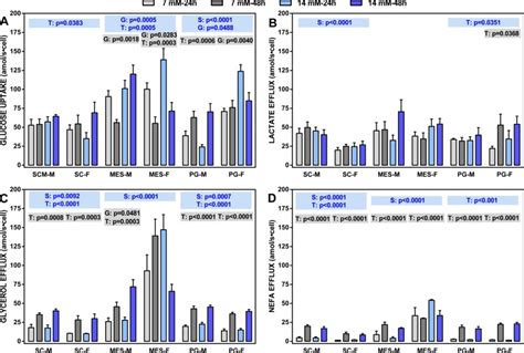 Effect Of Sex On Glucose Handling By Adipocytes Isolated From Rat Subcutaneous Mesenteric And