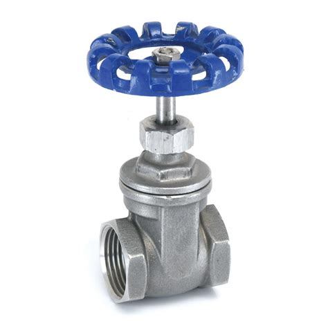 Stainless Steel Gate Valve Pn India Valves Fittings