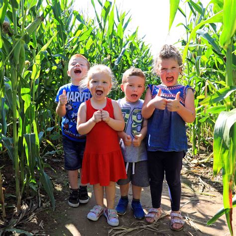 Things to do this summer holidays | Muddy Stilettos | Muddy Stilettos