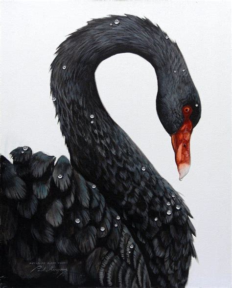 Australian Black Swan By Paul Margocsy Black Swan Swan Black Swan