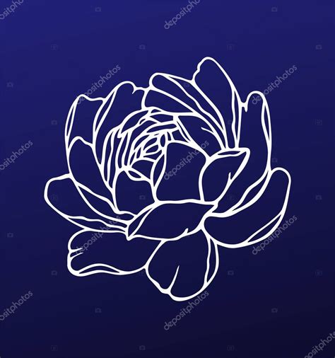 Vector blanco contorno peonía rosa flor dibujo silueta tatuaje floral