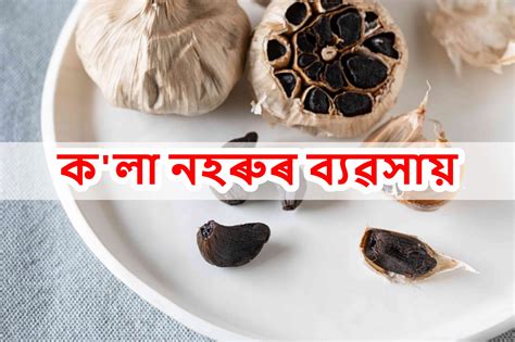 কলা নহৰুৰ ব্যৱসায়েৰে লাখ টকা উপার্জনৰ সুযোগ জানক কেনেকৈ