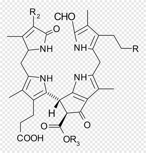 Chlorofyl A Chemie Chemische Structuur Chlorofyl B Plant Hoek