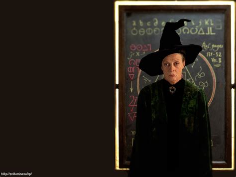 Teachers Harry Potter Wallpaper 213647 Fanpop