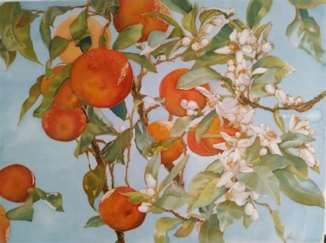 Flowers Orange Blossoms Drawing Alona Shpendik