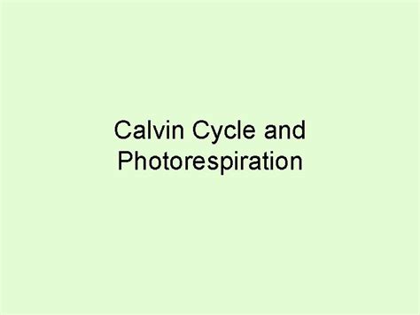 Calvin Cycle and Photorespiration Calvin Cycle Where does