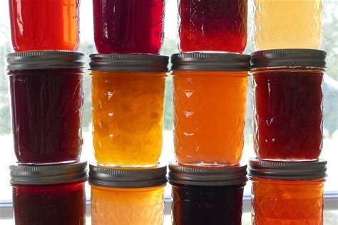 February was National Canned Food Month – A Forager’s Journey Through
