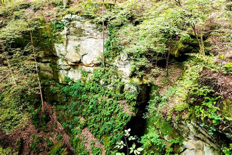 Fern Cliff Nature Preserve Susquehanna Greenway