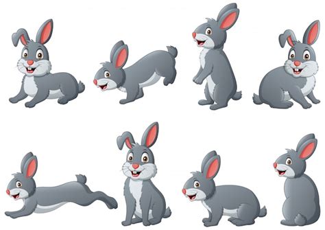 Premium Vector Set Of Pets Cartoon Illustration