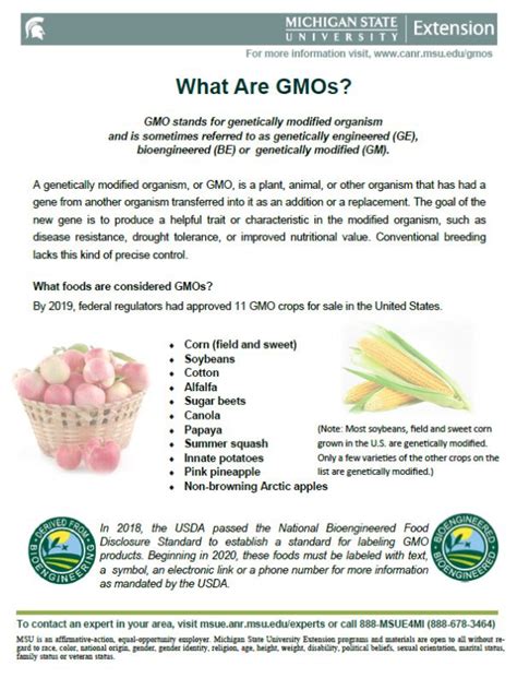 What are GMOs? - Agriculture